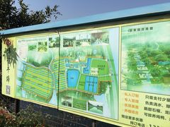 -伟记牛蹄(道滘店)