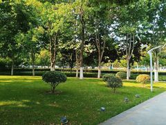 -天鹅湖体育公园