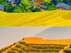 -龙脊梯田