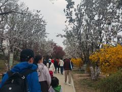 -元大都城垣遗址公园