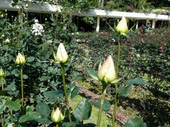 -人民公园(罗湖区)