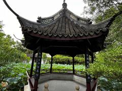 -上海醉白池公园