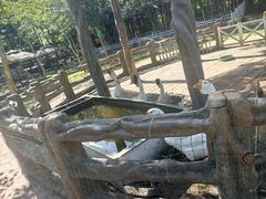 -丹樱生态园