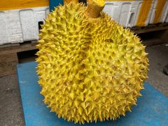 -双福水果批发市场
