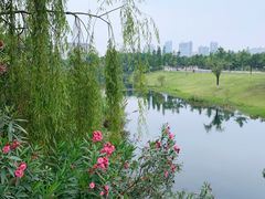 -眉山湿地公园(东坡区)