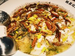 老坛子酸菜鱼-太二酸菜鱼(福州泰禾店)