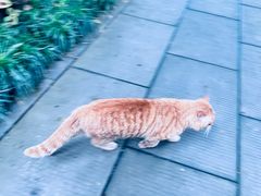 -成都杜甫草堂博物馆