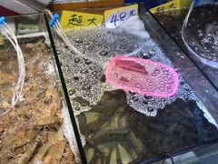 -珠光市场(文德南路)