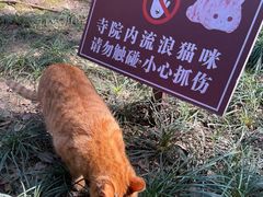 -西园戒幢律寺
