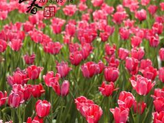 -长春公园(普阳街道)