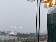 -羲和雅苑•北京烤鸭(乐园道万象城店)