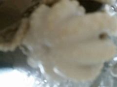 -铭聚章鱼土笋冻(松柏店)