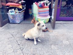 -黄桷坪涂鸦艺术街
