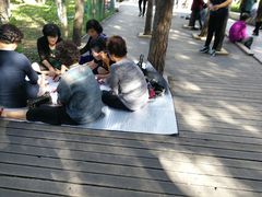 -帽儿山国家森林公园