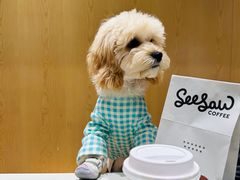 -Seesaw Coffee(西岸凤巢店)