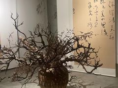 -苏州本色美术馆