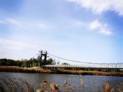 -西青郊野公园