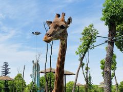 -常州淹城野生动物世界