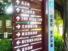 -风云岭森林公园