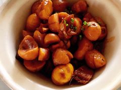 -帐篷客·溪龙茶谷度假酒店