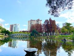 -四海公园(南山区)