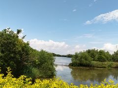 -芒洲湿地公园
