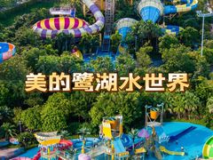 -美的鹭湖森林度假区