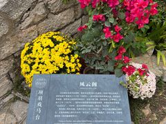 -戏马台景区