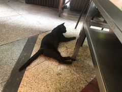-大汗烧烤滩羊馆(清水河公园店)