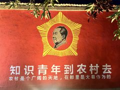 -特克斯八卦城