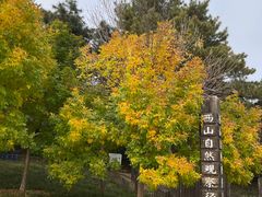 -北京西山国家森林公园