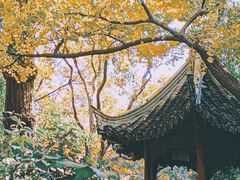 -秋霞圃