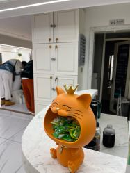 -小齐发型Star·Salon