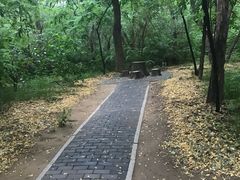 -廊坊市自然公园
