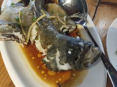 -蓝湾碧波·老字号·疍家非遗海上餐厅
