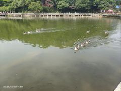 -广州市帽峰山景区