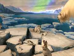 -陕西自然博物馆