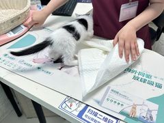-纳吉亚猫专科动物医院博雅分院