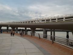 -演武大桥观景平台