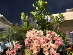 -若蘭慈·无国界素食料理(欢乐海岸店)
