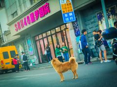 -SNH48星梦剧院