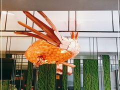 -老板恋上鱼(环山路店)