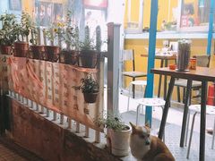-小梁哥云吞面(黄贝岭店)