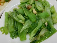 生炒水东芥-海晖酒楼·顺德鱼生(荣华店)