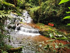-中国大熊猫保护研究中心雅安碧峰峡基地