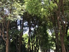 -宋庆龄陵园