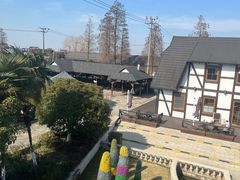 -金山农民画村-枫泾波兰倒置屋