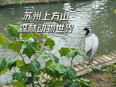 -上方山森林动物世界