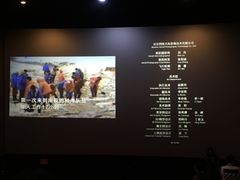 -卢米埃影城(住总万科杜比全景声激光店)