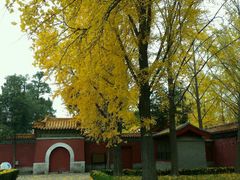 -景山公园